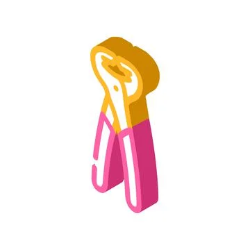 Nail puller pliers isometric icon vector illustration Stockillustratie