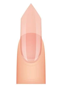 Nail shape manicure. Type of fingernail extension. Professional manicure Stock Illustration