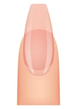 Nail shape manicure. Type of fingernail extension. Professional manicure Stock Illustration