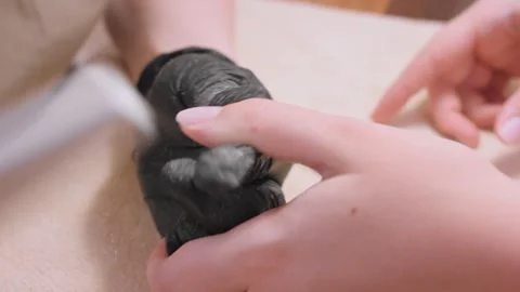 Nail technician creates suitable nail shape with file Video stock 241560797