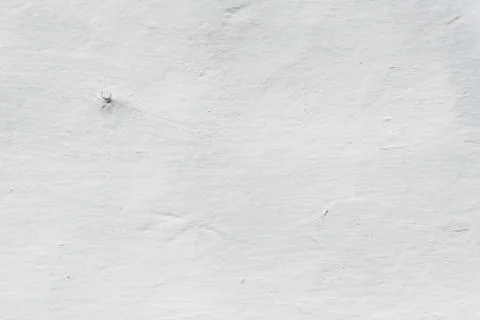 Nail in the wall, whitewashed wall of adobe house, retro style, textured Fotos Stock