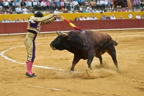 Nailing. Stock Photos