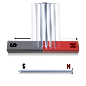 Nails attached to a magnet Ilustração Stock