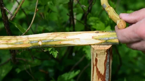 Nails down Stock Footage 108139326