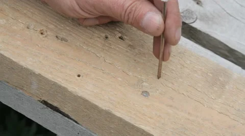 Nails driven into the wood with a hammer Stock Footage 68895747