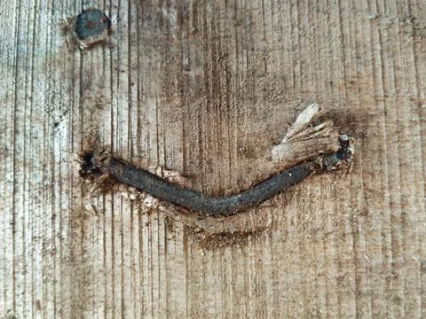 Nails Embedded In The Surface Of Rotting Wood Stock Photos