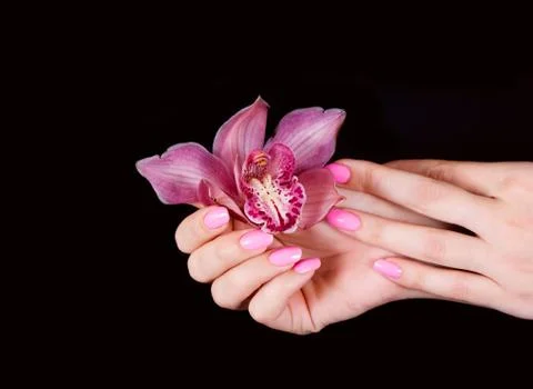Nails with flower Foto stock