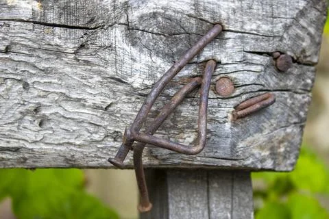 Nails hammered into an old board. Stock Photos