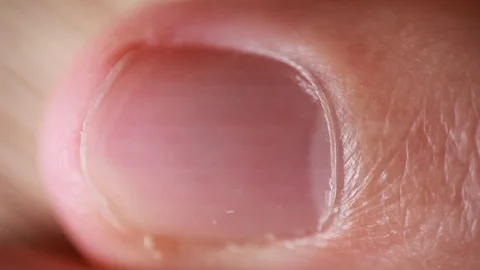 Nails on man's hand. Extreme close up Stock-Footage 86509399