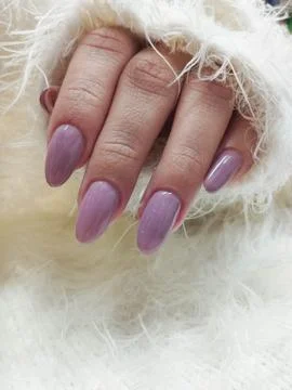 Nails Stock Photos