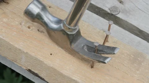 Nails pull out of wood with a hammer Stock Footage 68895650