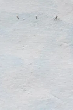 Nails in the wall, whitewashed wall of adobe house, retro style, textured bac Fotos Stock