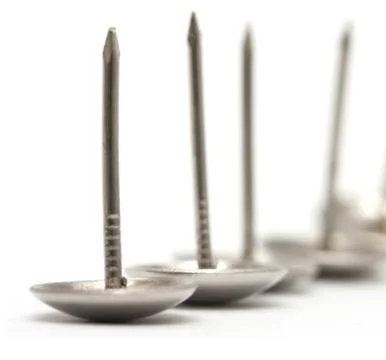 Nails on a white background. close 写真素材