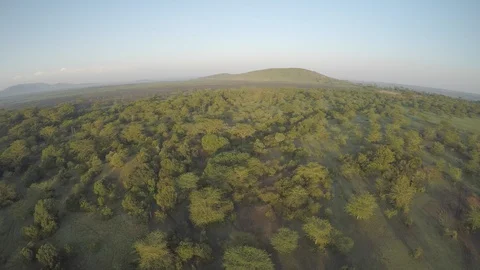 Nairobi Drone Shot 2 Stock Footage 107792835