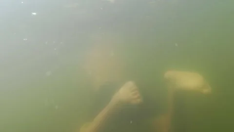 Swimming Naked Underwater Stock Videos – Royalty-Free HD & 4K Videos