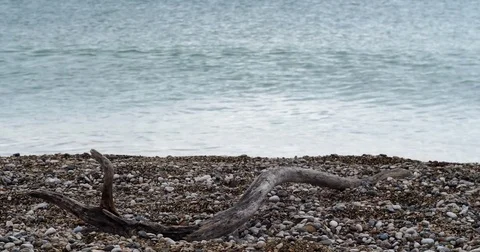 Laying Out Naked Stock Videos – Royalty-Free HD & 4K Videos | Pond5