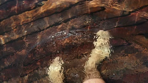 Naked hairy male legs walk on pier. The | Stock Video | Pond5