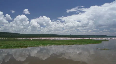 Nakuro scape P2 Stock Footage 883542