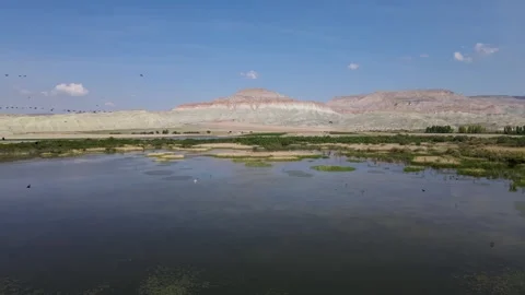 Nallihan Bird Sanctuary Stock Footage 332000687