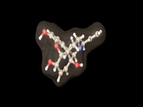 Naloxone molecule. Transparent solid surface /  ball and stick model 스톡 동영상 77287449
