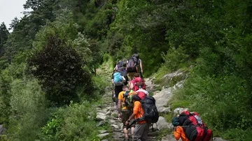 NAMCHE BAZAAR, NEPAL - 12 SEPTEMBER 2017 : Trekkers Walking Pass The Green Cl Stock Footage 85585824