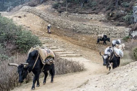 Namche Bazaar, Nepal Foto stock