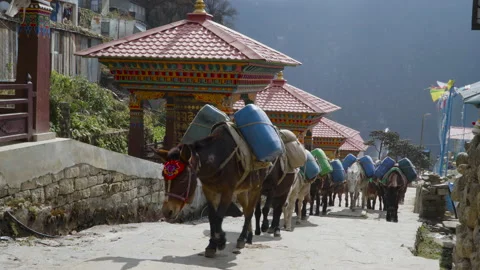 Namche Bazaar typical village view Stock Footage 228590224