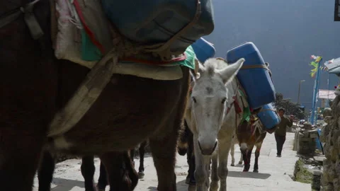 Namche Bazaar typical village view Stock Footage 228591232