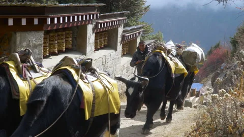 Namche Bazaar typical village view Stock Footage 228593852