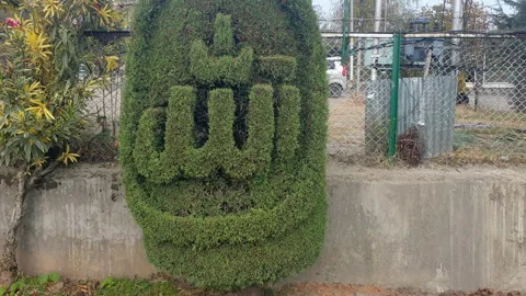 Name of Almighty Allah written on a tree in public park Video stock 295911654