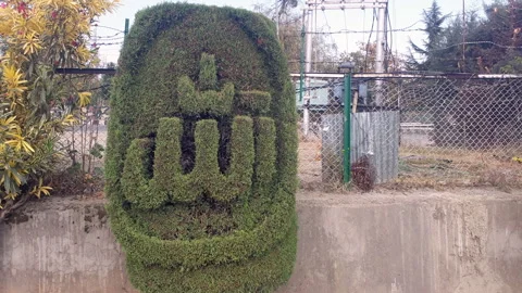 Name of Almighty Allah written on a tree in public park Video stock 295912419