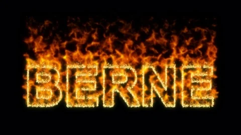 Name BERNE flares up and burns out. Alpha channel. Transparency Stock Footage