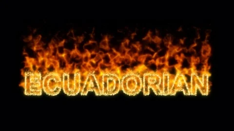 Name ECUADORIAN flares up and burns out. Alpha channel. Transparency Stock Footage