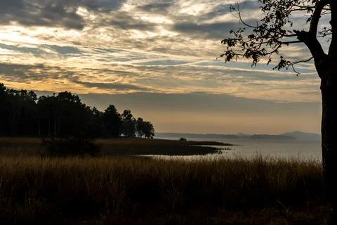 Named after the pristine River Pence which flows through the park, Pench Nationa Stock-Fotos