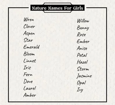 Names on nature parchment Stock Illustration
