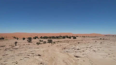 Namib Desert 14 Stock Footage 231423087