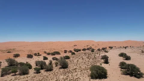 Namib Desert 15 Video stock 231423009
