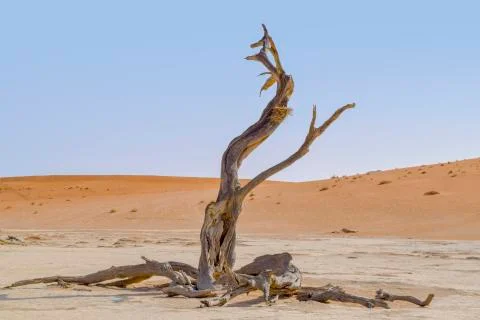 Namib desert in Namibia Stock Photos