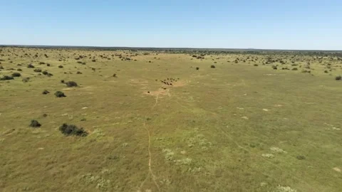 Namibia 2022 00000342 Video stock 231734637