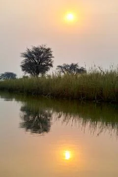 Namibia. The banks of Okavango river at dusk Stock Photos
