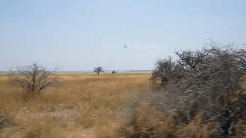 Namibia camera car, beautiful landscape, Africa in HD Etosha - Opuwo Stock Footage 90848497