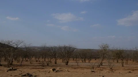 Namibia camera car, beautiful landscape, Africa in HD Etosha - Opuwo Stock Footage 90848626
