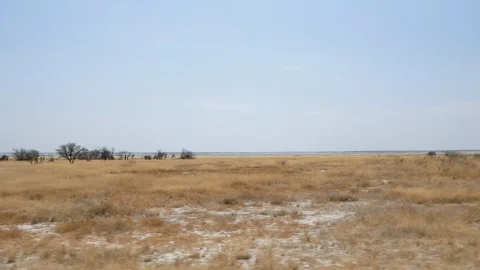 Namibia camera car, beautiful landscape, Africa in HD Etosha - Opuwo Stock Footage 90849724