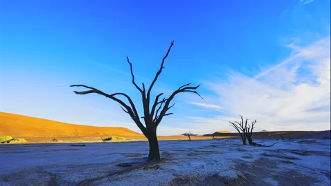 Namibia Deadvlei Desert Time Lapse with Ancient Trees Stock-Footage 339340895