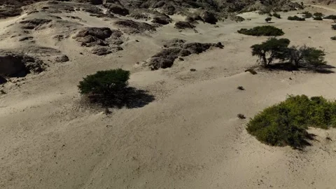 Namibia Desert 4K Aerial View, Moon Landscape Canyon 스톡 동영상 339082608