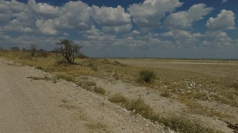 Namibia desert drone shot, Etosha Stock Footage 101911555