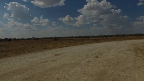 Namibia desert drone shot, Etosha Stock Footage 101911742