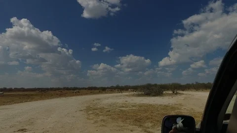 Namibia desert drone shot, Etosha Stock Footage 101911994