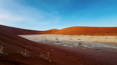 Namibia, dried trees in the desert, vibrant colors	 動画素材 333080223