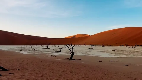 Namibia, dried trees in the desert, vibrant colors	 Stockbeeldmateriaal 333111987